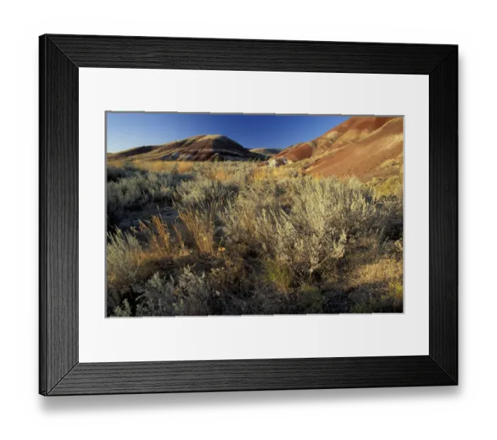 Framed Print : N. A. USA, Oregon. John Day Fossil Bed National Monument. Painted hills Framed Print : N. A. USA, Oregon. John Day Fossil Bed National Monument. Painted hills