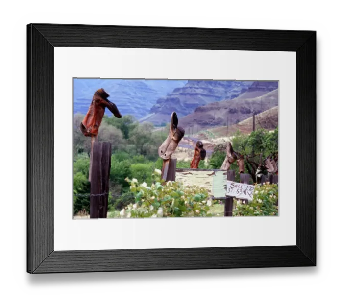 Framed Print : Weathered boots; fenceposts; Imanha river canyon, Oregon; rural; humor; footwear