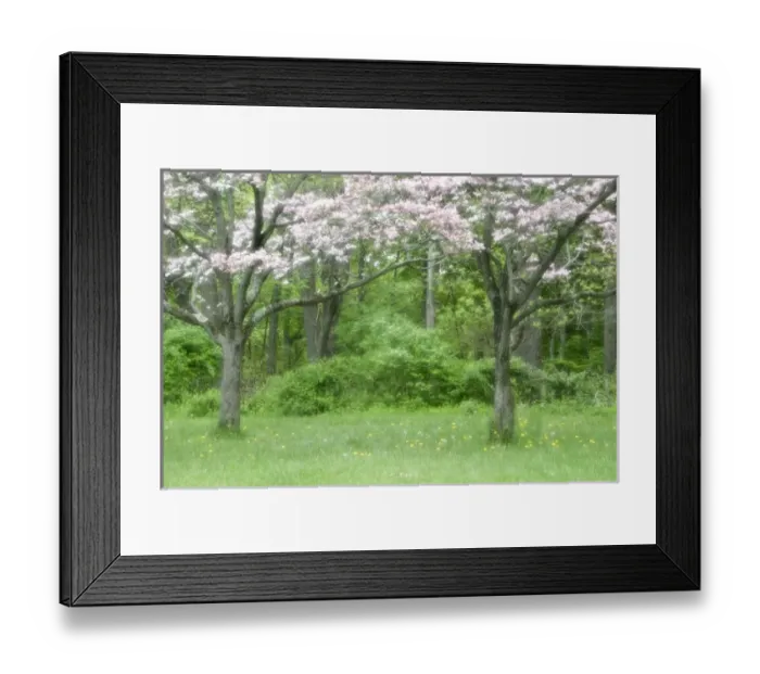 Framed Print : USA, Pennsylvania, Valley Forge National Historical Park. Spring, seasonal. Credit as Framed Print : USA, Pennsylvania, Valley Forge National Historical Park. Spring, seasonal. Credit as