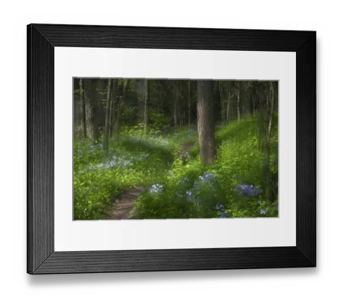 Framed Print : USA, Pennsylvania, Cedar Creek. Double-exposure of scenic with trail through blue phlox wildflowers Framed Print : USA, Pennsylvania, Cedar Creek. Double-exposure of scenic with trail through blue phlox wildflowers