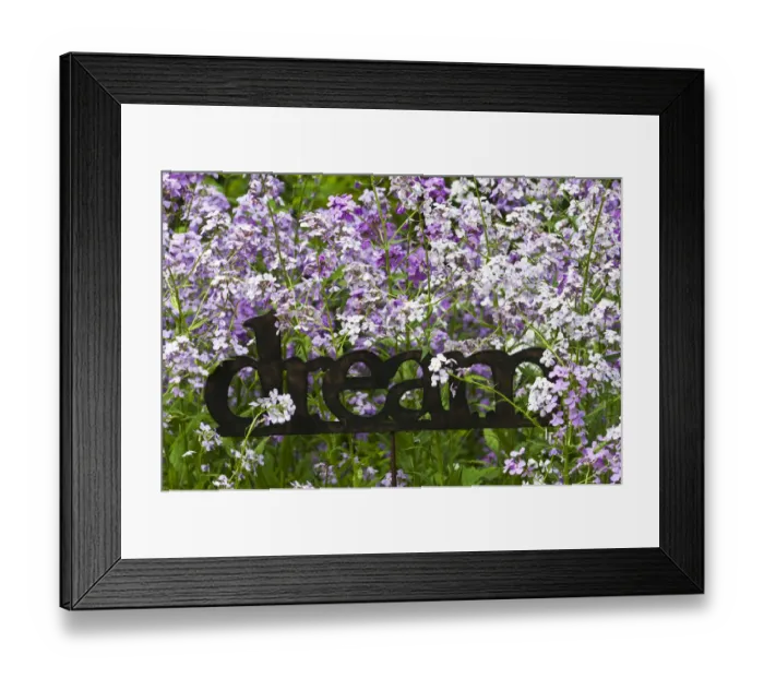 Framed Print : USA, Pennsylvania. Metal sign of word dream amid blooming phlox in garden. Credit as Framed Print : USA, Pennsylvania. Metal sign of word dream amid blooming phlox in garden. Credit as