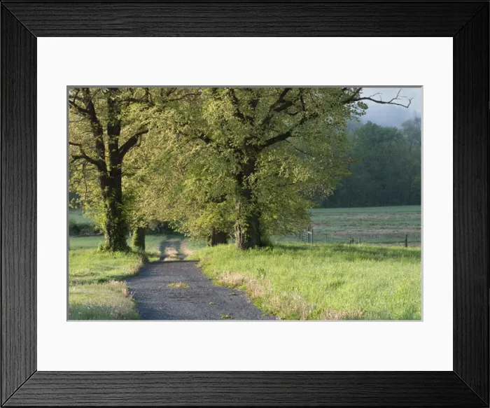 Framed Print : Deleware Water Gap National Recreation Area