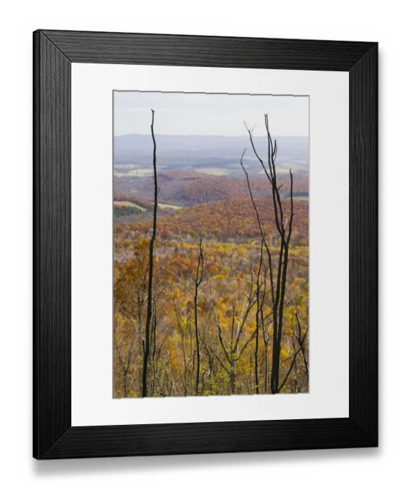Framed Print : USA-Pennsylvania-Shellsburg: View of the Allegheny Mountains from Mt. Ararat (el