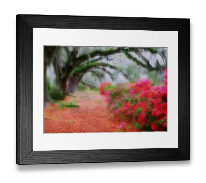 Framed Print : Impressionistic view of Live Oaks over blooming azaleas, Magnolia Plantation, Charleston