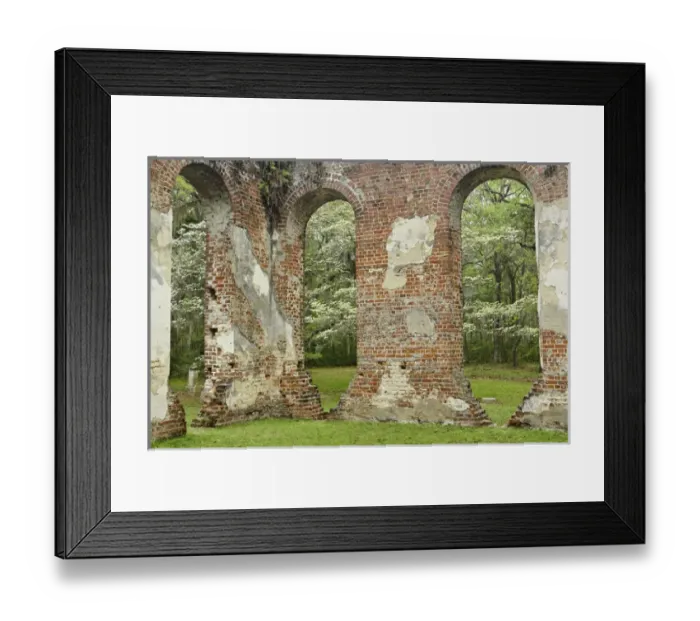 Framed Print : Red brick ruins of the Church of Prince Williams Parish known as Sheldon, buit between 1745-1755 Framed Print : Red brick ruins of the Church of Prince Williams Parish known as Sheldon, buit between 1745-1755