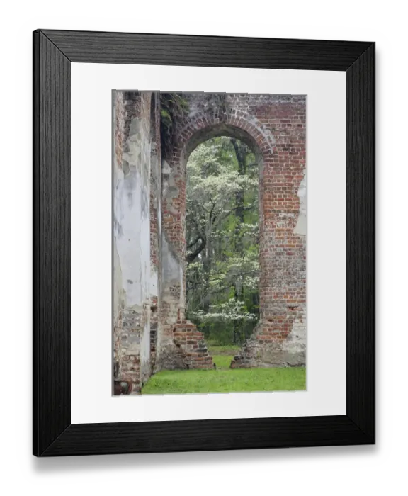 Framed Print : Red brick ruins of the Church of Prince Williams Parish known as Sheldon, buit between 1745-1755 Framed Print : Red brick ruins of the Church of Prince Williams Parish known as Sheldon, buit between 1745-1755