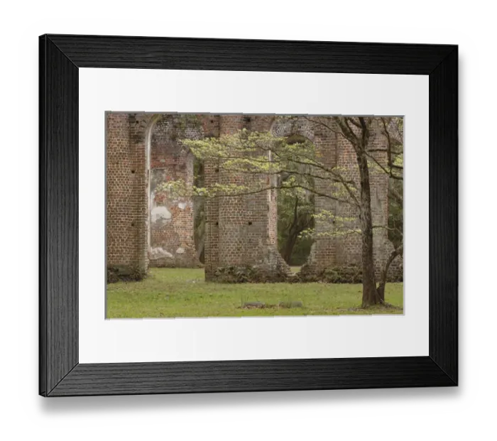 Framed Print : Red brick ruins of the Church of Prince Williams Parish known as Sheldon, buit between 1745-1755