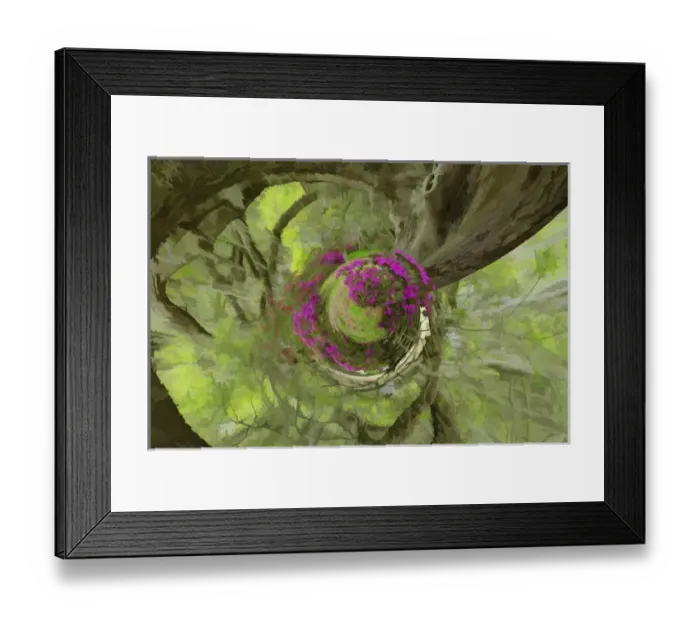 Framed Print : Fantasy forest from above Live Oak trees above azaleas in bloom, Magnolia Plantation Framed Print : Fantasy forest from above Live Oak trees above azaleas in bloom, Magnolia Plantation