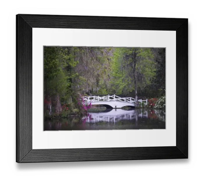 Framed Print : USA, South Carolina, Magnolia Gardens. Wooden footbridge reflects in pond. Credit as Framed Print : USA, South Carolina, Magnolia Gardens. Wooden footbridge reflects in pond. Credit as