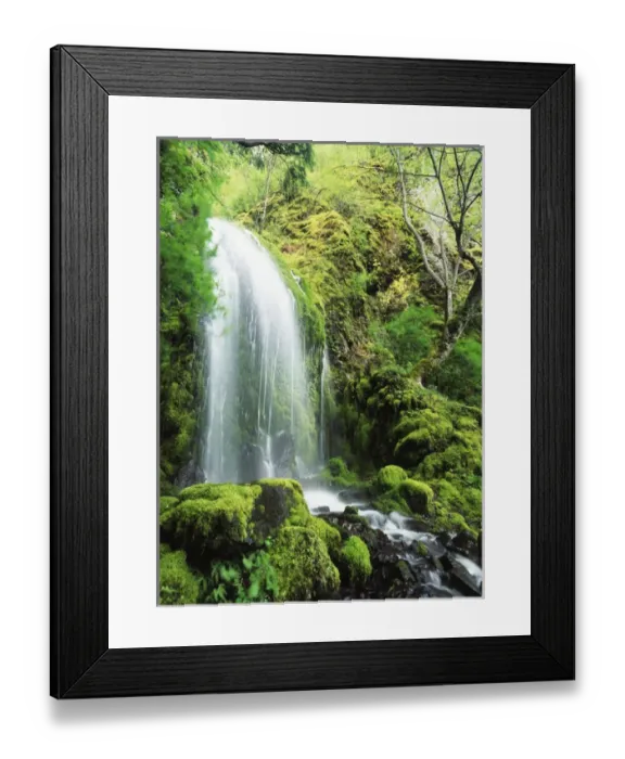 Framed Print : USA, Oregon, Colombia, Mt Hood National Forest, Columbia River Gorge, View of waterfall Framed Print : USA, Oregon, Colombia, Mt Hood National Forest, Columbia River Gorge, View of waterfall