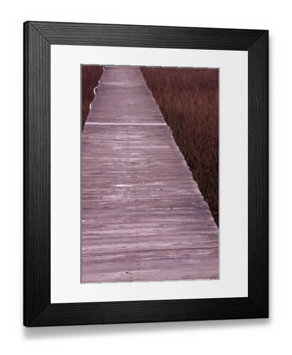 Framed Print : N. A. USA, South Carolina, Charleston. Pier over grasses on Isle of Palm Framed Print : N. A. USA, South Carolina, Charleston. Pier over grasses on Isle of Palm