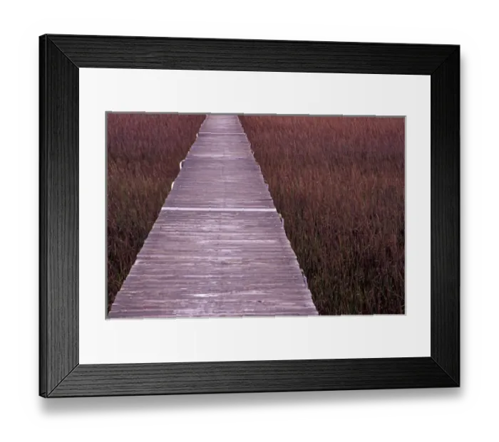 Framed Print : N. A. USA, South Carolina, Charleston. Pier over grasses on Isle of Palm Framed Print : N. A. USA, South Carolina, Charleston. Pier over grasses on Isle of Palm
