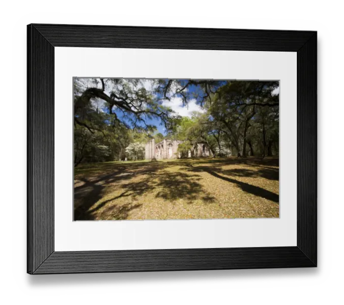 Framed Print : North America, USA, South Carolina. Ruins of the Old Sheldon Church Framed Print : North America, USA, South Carolina. Ruins of the Old Sheldon Church