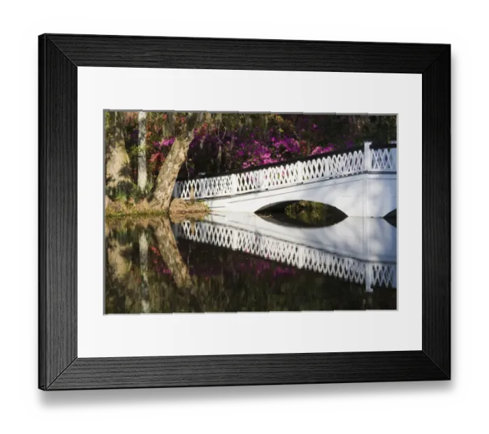 Framed Print : North America, USA, South Carolina, Charleston. Bridge in Magnolia Plantation