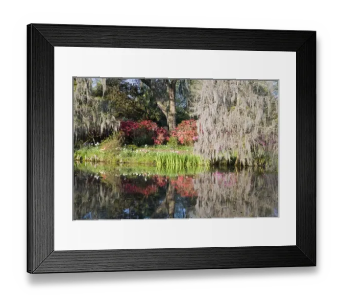 Framed Print : North America, USA, South Carolina, Charleston. Cypress Trees and Azaleas at Magnolia Plantation
