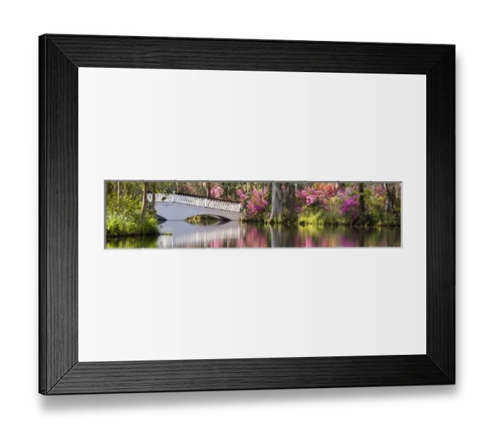 Framed Print : North America, USA, South Carolina, Charleston. Bridge in Magnolia Plantation