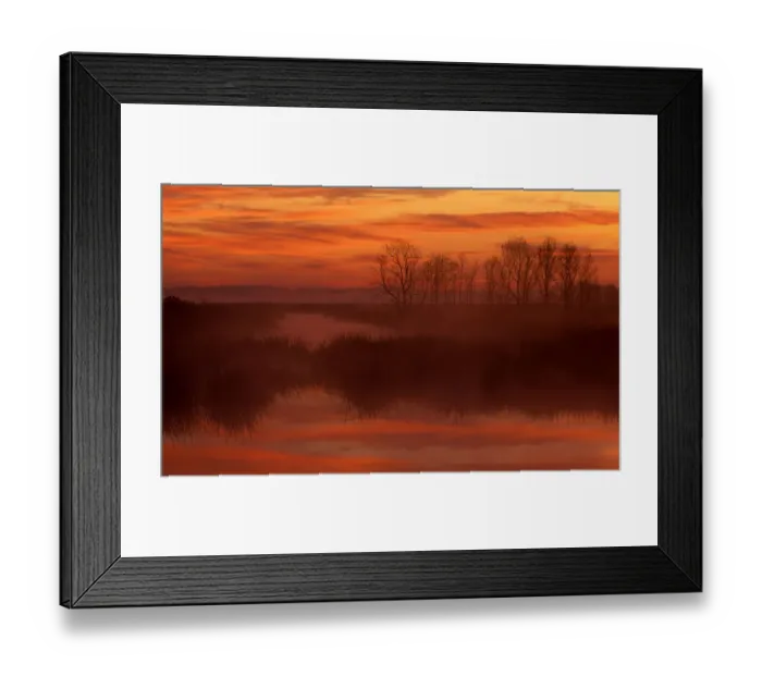 Framed Print : North America; USA; South Carolina; Foggy sunrise at Savannah National Wildlife Refuge Framed Print : North America; USA; South Carolina; Foggy sunrise at Savannah National Wildlife Refuge