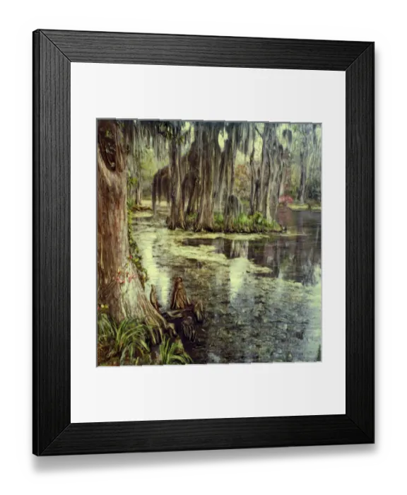 Framed Print : USA, South Carolina, Charleston, Magnolia Plantation and Gardens. Cypress trees reflected in water Framed Print : USA, South Carolina, Charleston, Magnolia Plantation and Gardens. Cypress trees reflected in water