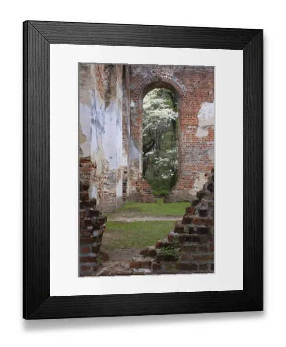 Framed Print : North America, USA, South Carolina; Ruins in the spring of Old Sheldon Church Framed Print : North America, USA, South Carolina; Ruins in the spring of Old Sheldon Church