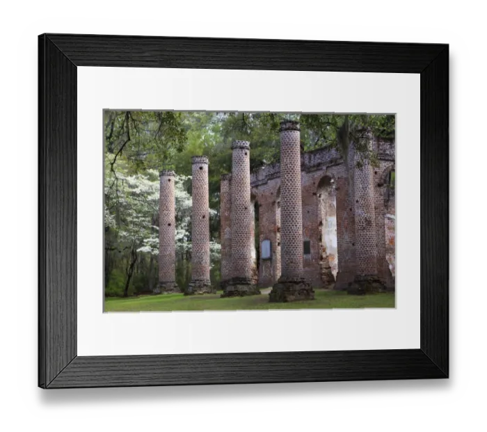 Framed Print : North America, USA, South Carolina; Ruins in the spring of Old Sheldon Church Framed Print : North America, USA, South Carolina; Ruins in the spring of Old Sheldon Church