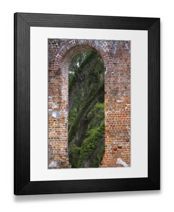 Framed Print : North America, USA, South Carolina; Ruins in the spring of Old Sheldon Church Framed Print : North America, USA, South Carolina; Ruins in the spring of Old Sheldon Church