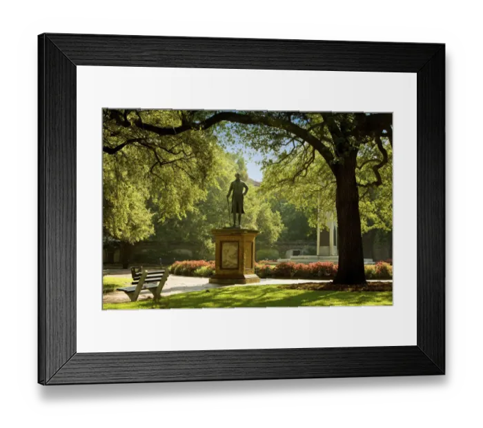 Framed Print : Washington park, Meeting Street, Charleston, SC Framed Print : Washington park, Meeting Street, Charleston, SC