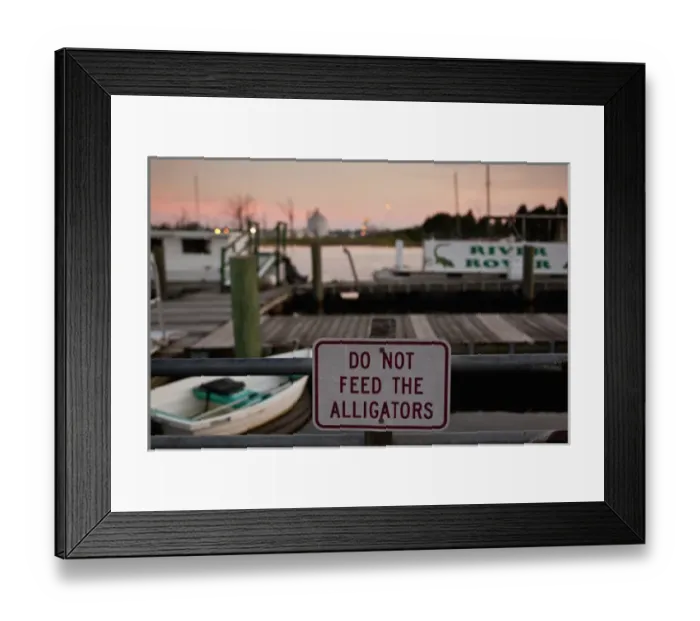 Framed Print : USA, South Carolina, Georgetown, Do Not Feed the Alligators warning sign on pier Framed Print : USA, South Carolina, Georgetown, Do Not Feed the Alligators warning sign on pier