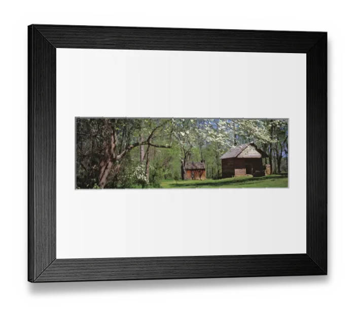 Framed Print : USA, South Carolina, Travelers Rest. Dogwood blossoms are an indication of spring Framed Print : USA, South Carolina, Travelers Rest. Dogwood blossoms are an indication of spring