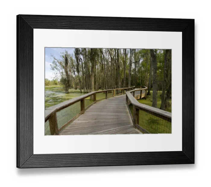 Framed Print : Charleston, South Carolina, USA. A walkway at the Audubon Swamp Garden located just Framed Print : Charleston, South Carolina, USA. A walkway at the Audubon Swamp Garden located just