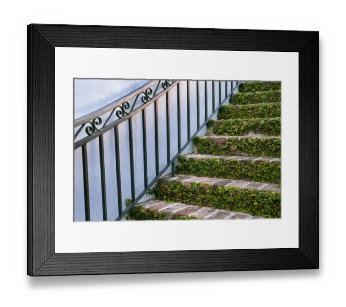 Framed Print : Charleston, South Carolina, USA. A stairway in the historic district of Charleston Framed Print : Charleston, South Carolina, USA. A stairway in the historic district of Charleston