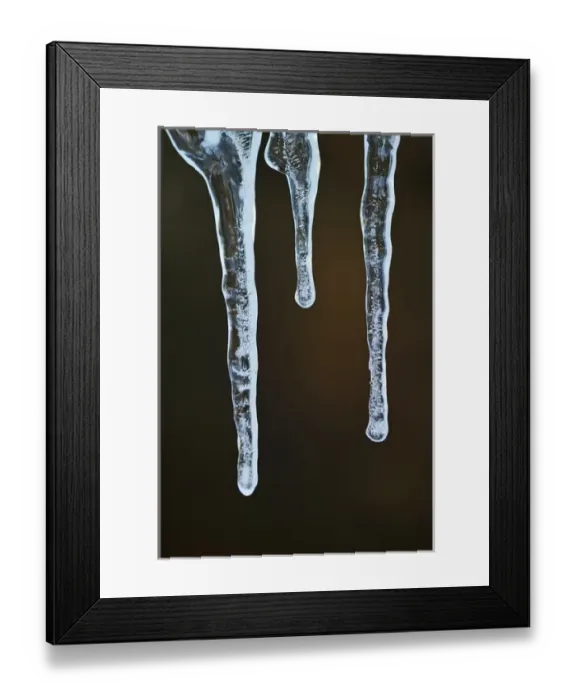 Framed Print : Icicle, Great Smoky Mountains National Park, Tennessee Framed Print : Icicle, Great Smoky Mountains National Park, Tennessee