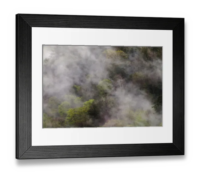 Framed Print : Mist rising from mountainside after spring rain, Great Smoky Mountains National Park, TN Framed Print : Mist rising from mountainside after spring rain, Great Smoky Mountains National Park, TN