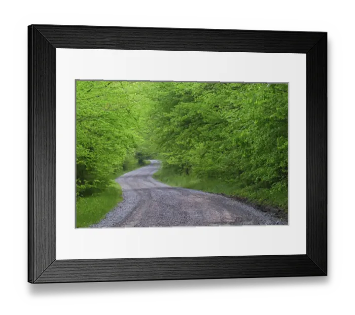 Framed Print : Road through forest, Great Smoky Mountains N. P. TN Road through forest, Great Framed Print : Road through forest, Great Smoky Mountains N. P. TN Road through forest, Great