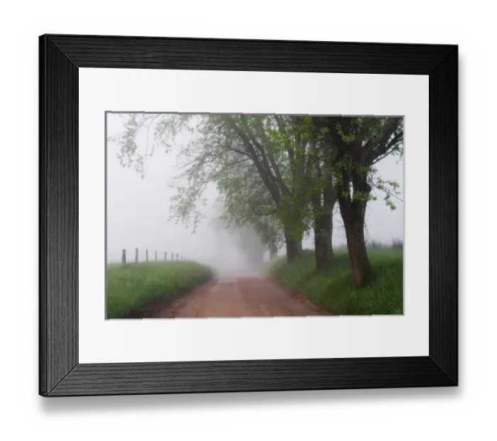 Framed Print : Sparks Lane in early spring Cades Cove Great Smoky Mountains N. P. TN Framed Print : Sparks Lane in early spring Cades Cove Great Smoky Mountains N. P. TN