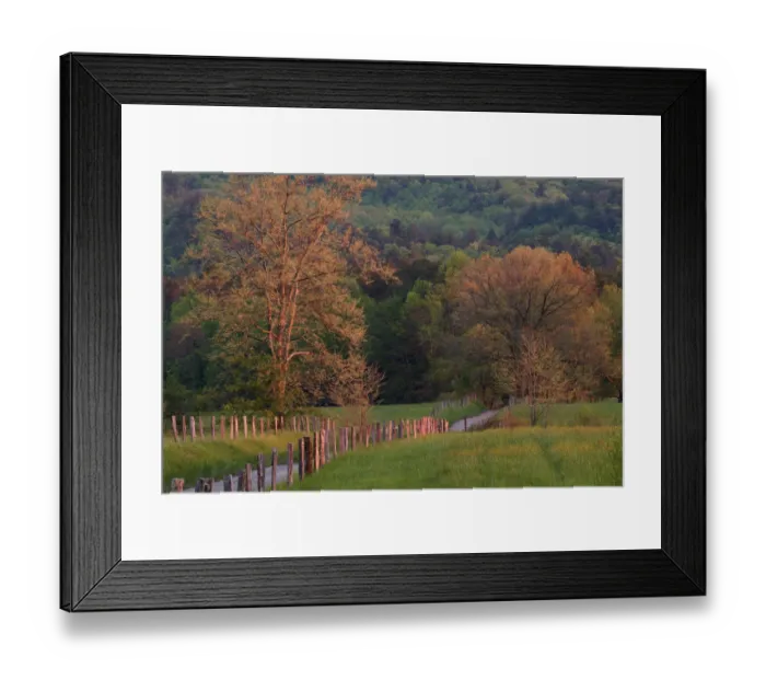 Framed Print : Sparks Lane in early spring Cades Cove Great Smoky Mountains N. P. TN Framed Print : Sparks Lane in early spring Cades Cove Great Smoky Mountains N. P. TN