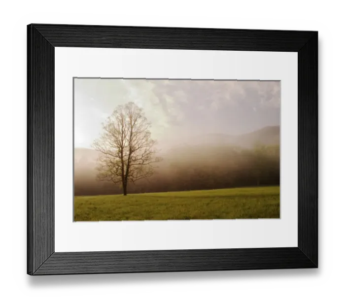 Framed Print : Foggy sunrise Cades Cove Great Smoky Mountains N. P. TN Foggy sunriseCades Framed Print : Foggy sunrise Cades Cove Great Smoky Mountains N. P. TN Foggy sunriseCades