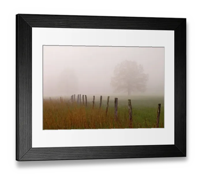 Framed Print : Fence and trees in foggy meadow Cades Cove Great Smoky Mountains N. P. TN Framed Print : Fence and trees in foggy meadow Cades Cove Great Smoky Mountains N. P. TN