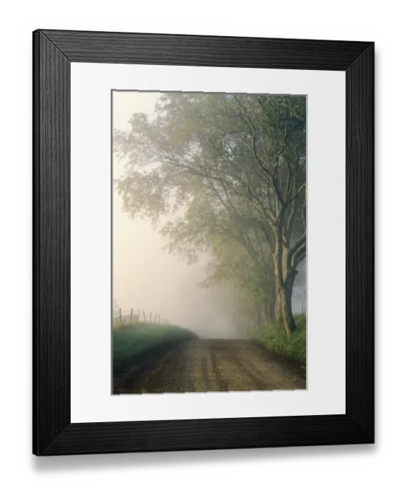 Framed Print : Sparks Lane, Cades Cove, Great Smoky Mountains National Park, Tennessee Framed Print : Sparks Lane, Cades Cove, Great Smoky Mountains National Park, Tennessee