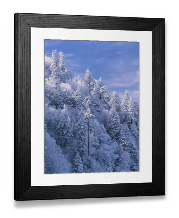Framed Print : North America, USA, Tennessee, Great Smoky Mountains National Park, Newfound Gap Framed Print : North America, USA, Tennessee, Great Smoky Mountains National Park, Newfound Gap