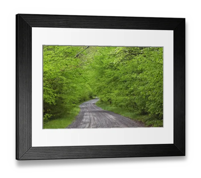 Framed Print : Gravel road to Tremont, Walker Valley, Great Smoky Mountains National Park, TN Framed Print : Gravel road to Tremont, Walker Valley, Great Smoky Mountains National Park, TN