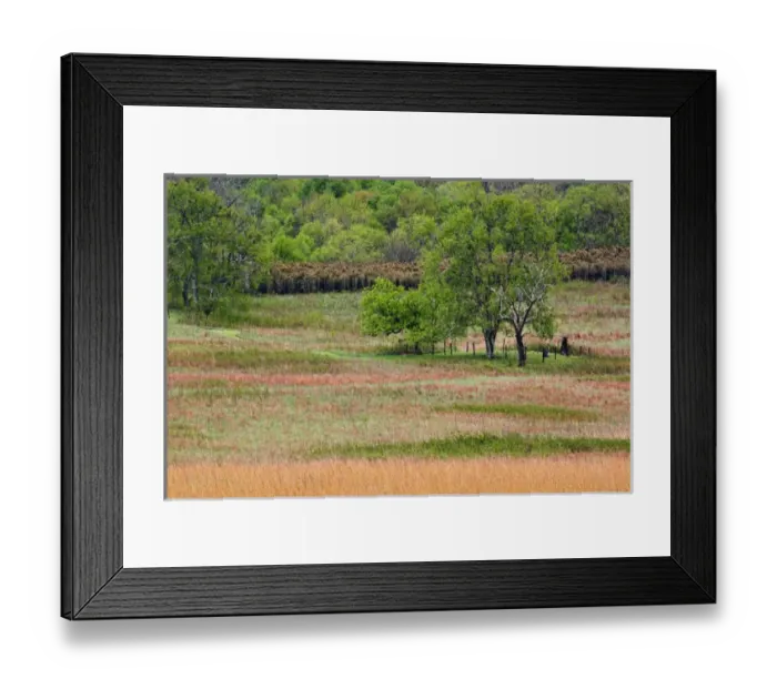 Framed Print : Grass pattern, Cades Cove, Great Smoky Mountains National Park Framed Print : Grass pattern, Cades Cove, Great Smoky Mountains National Park