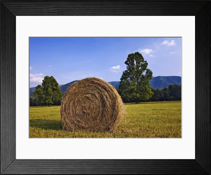 Framed Print : Rolled hay bale, Cades Cove, Great Smoky Mountains National Park, Tennessee