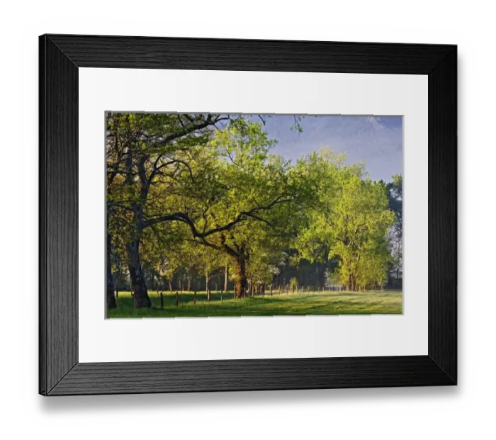 Framed Print : Fence and trees along Sparks Lane at sunrise, Cades Cove, Great Smoky Mountains National Park Framed Print : Fence and trees along Sparks Lane at sunrise, Cades Cove, Great Smoky Mountains National Park