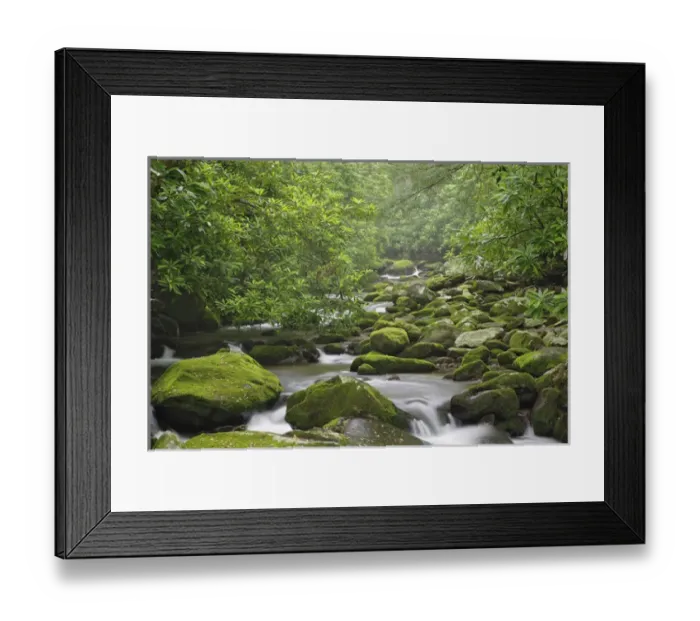 Framed Print : Roaring Fork Creek, Great Smoky Mountains National Park, Tennessee