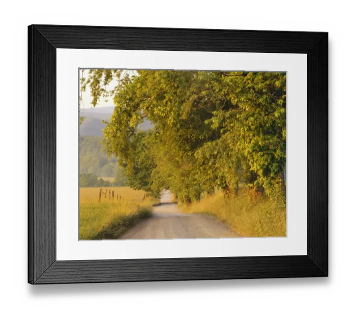 Framed Print : Tennessee, Cades Cove, Great Smoky Mountains National Park, Country road passing by field Framed Print : Tennessee, Cades Cove, Great Smoky Mountains National Park, Country road passing by field