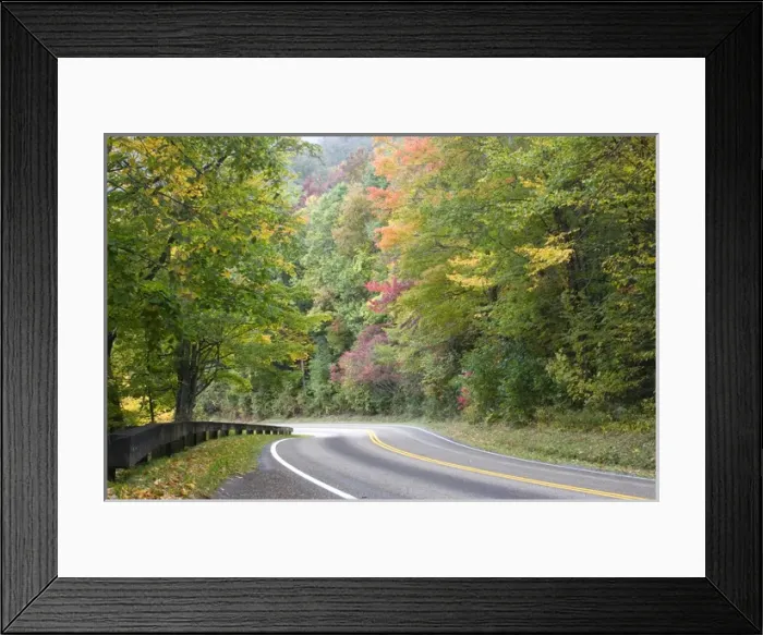 Framed Print : USA - Tennessee. Fall foliage on Newfound Gap Road in Great Smoky Mountains National Park Framed Print : USA - Tennessee. Fall foliage on Newfound Gap Road in Great Smoky Mountains National Park