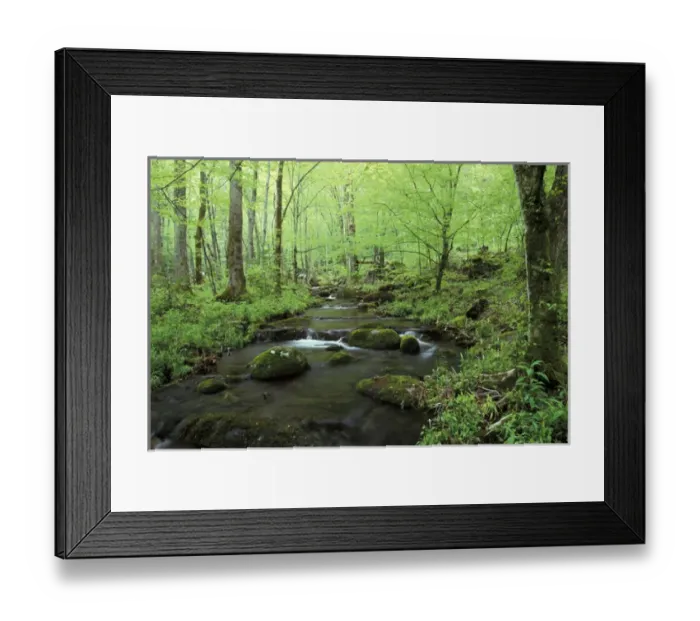 Framed Print : NA, USA, Tennessee, Great Smoky Mountains NP Small stream Framed Print : NA, USA, Tennessee, Great Smoky Mountains NP Small stream