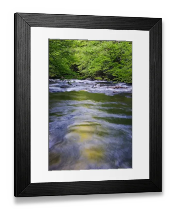 Framed Print : USA; Tennessee; Great Smoky Mt NP; Spring reflections in Middle Prong Little River Framed Print : USA; Tennessee; Great Smoky Mt NP; Spring reflections in Middle Prong Little River