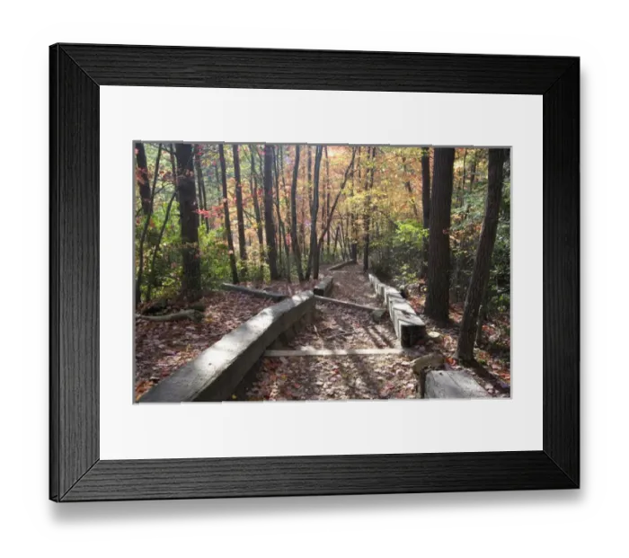 Framed Print : USA - Tennessee. Fall foliage at Fall Creek Falls State Park Framed Print : USA - Tennessee. Fall foliage at Fall Creek Falls State Park