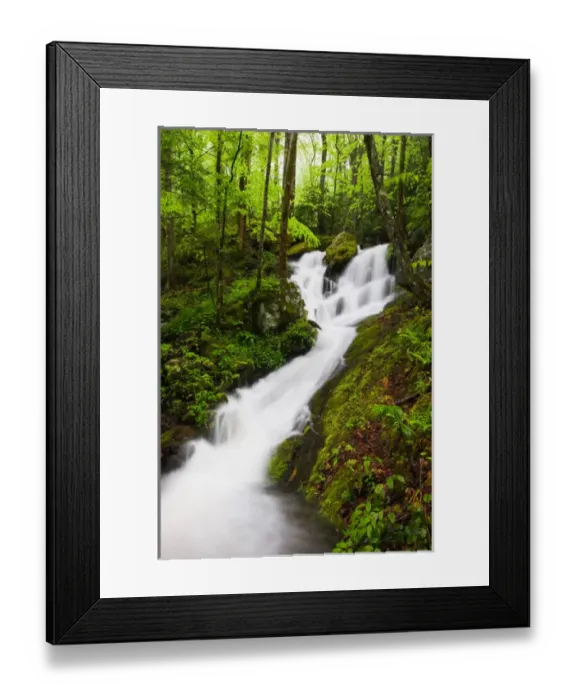 Framed Print : USA; Tennessee; Great Smoky Mountain NP; Cascade at Tremont Framed Print : USA; Tennessee; Great Smoky Mountain NP; Cascade at Tremont